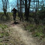 Randy-jackrabbit-skills