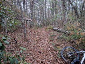 Ramsey Bluff Trail System - Murphy, NC