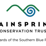 MainspringLogo_wTagline