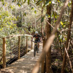 piney-knob-gobbler-trail