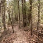 piney-knob-grape-smuggler-trail