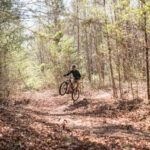 piney-knob-rhodo-coaster-trail