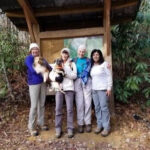 piney-knob-trail-entrance